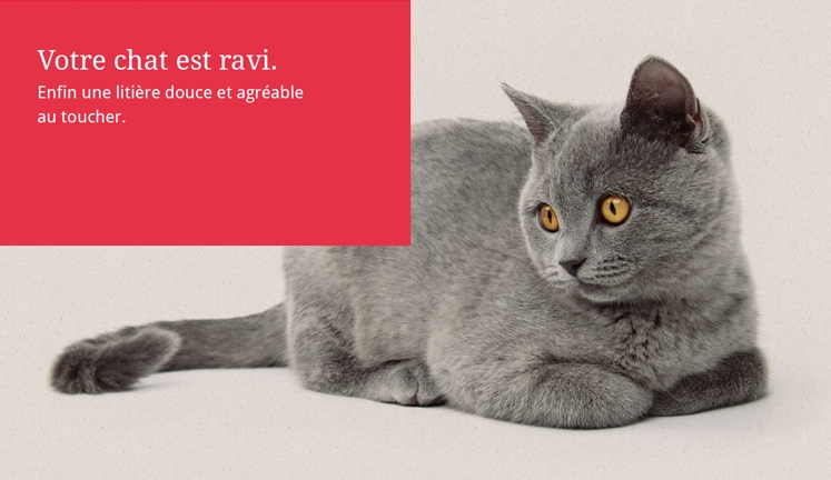 Votre chat est ravi.